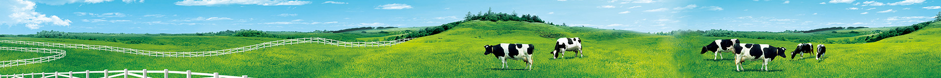 http://m.njtianshui.com/data/upload/202412/20241225200749_228.jpg